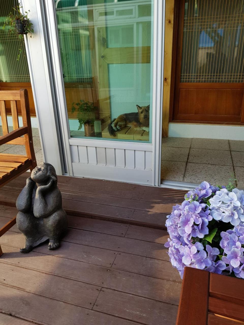 Dal Garam Guesthouse Κανγκούνγκ Εξωτερικό φωτογραφία